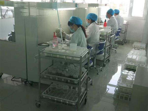 接種器械滅菌器中的計算機軟硬件技術開發 智能消毒與精準控制的新紀元